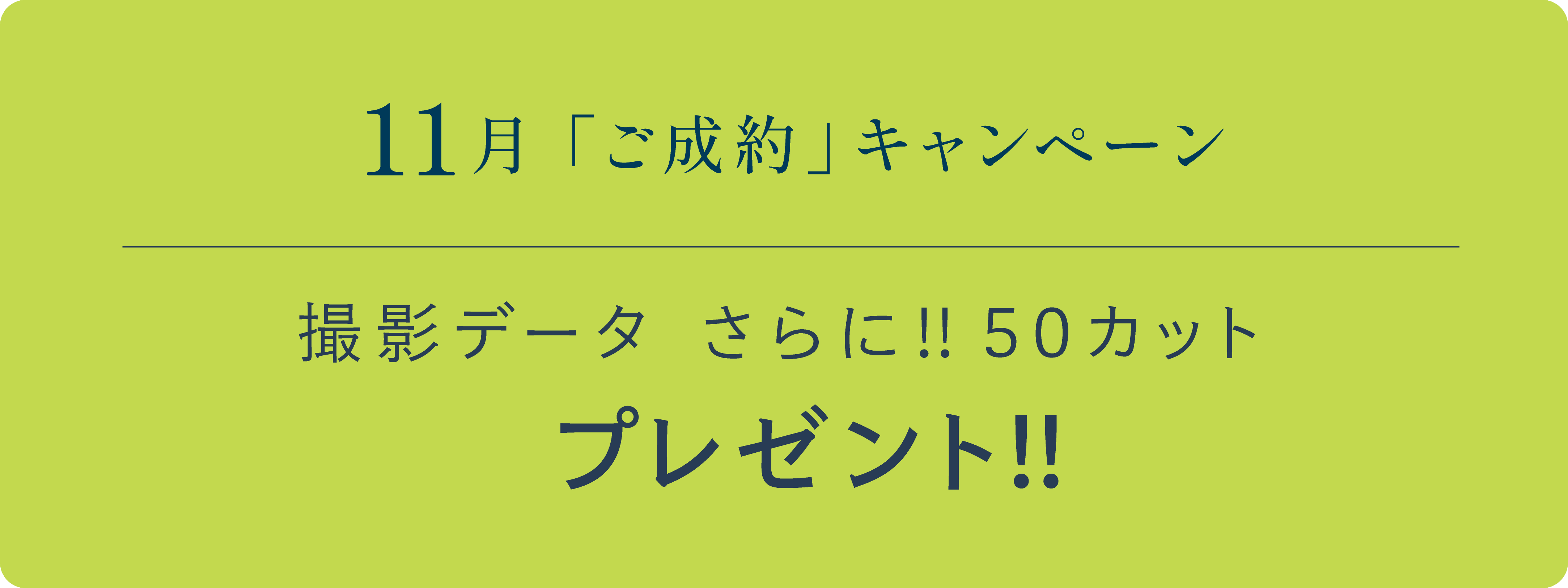 11月「ご成約」キャンペーン　撮影データさらに!!50カットプレゼント!!